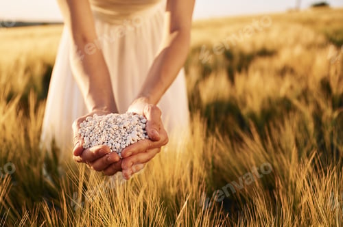 Preview: Natural component. Close up view of perlite in woman's hands that is on the agricultural field