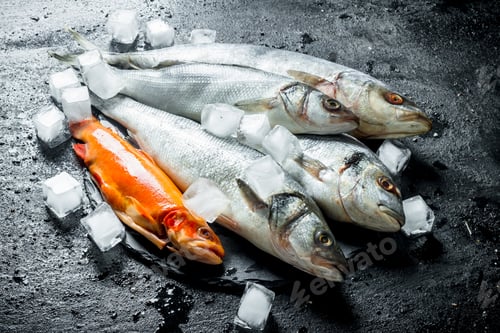 Preview: Range of raw fish with ice cubes.