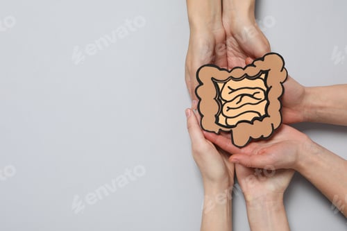 Preview: Concept of health care, stomach and intestinal problems