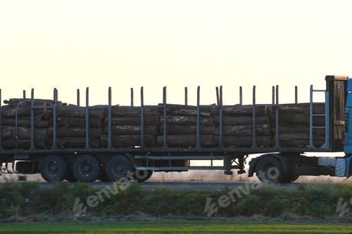 Preview: Semi-truck with cargo trailer driving on highway hauling cut down trees in evening. Timber delivery
