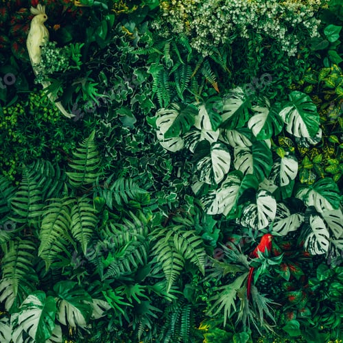 Preview: Close up group of background tropical green leaves texture and abstract background.