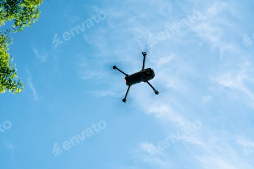Preview: Drone view from the bottom. Sunny skies in the forest.