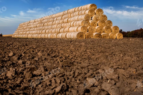 Preview: straw bales stacked in a pyramid shaped pile on a plowed field, arable land