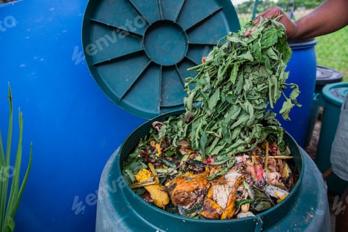 Preview: A woman throws the cut plants and organic waste from the garden into the compost