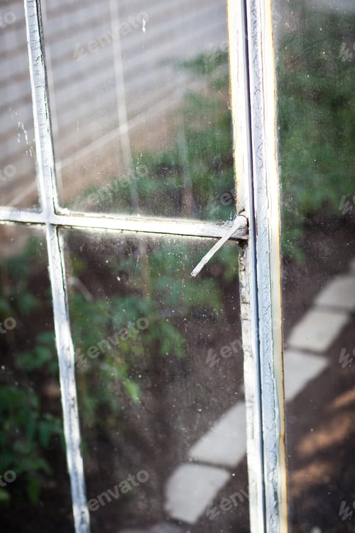 Preview: ittle organic/bio/permaculture garden