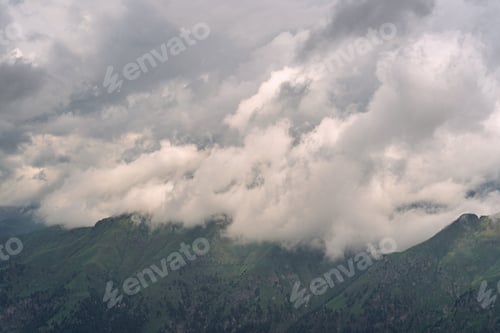 Preview: Idyllic Alps with green forest on mountain hill