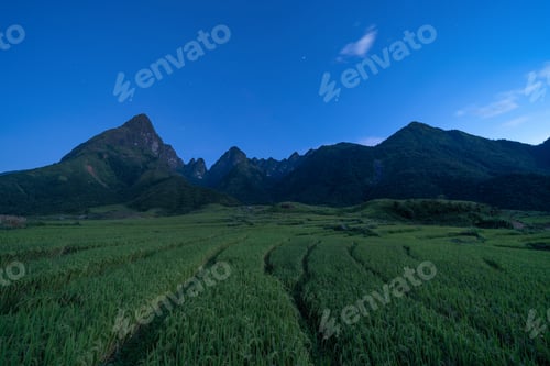 Preview: Paddy rice terraces, green agricultural fields in countryside of mountain hills valley, Vietnam.