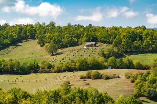 Preview: House on the mountainside, farming