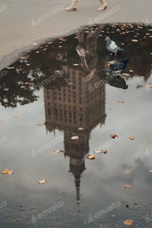 Preview: A reflection of the Palace of Culture and Science
