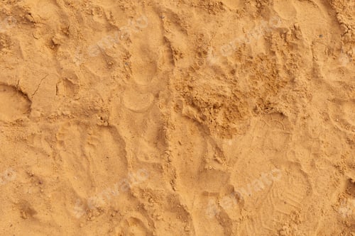Preview: Footprints are scattered across a sandy surface, indicating movement and activity