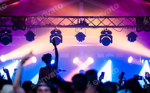 Preview: crowd at concert - summer music festival