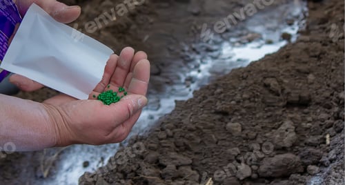 Preview: Young peasant woman planting seeds of carrots, radishes and beets in a warm black earth.