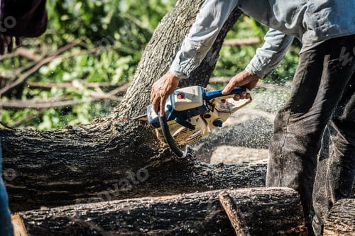 Preview: Dramatic style a logger sawing the wood by electric saw.