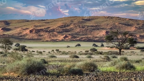 Preview: Namibia, view of the Namib desert