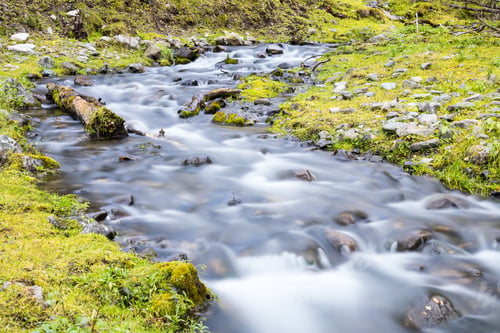 Preview: beautiful landscape in the forest, streams by slow shutter shooting
