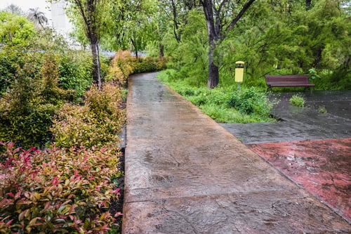 Preview: A flowery urban park on a lonely rainy day.