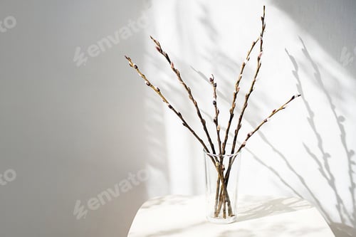 Preview: Pussy Willow Twigs In Glass Vase On White Table With Soft Light And Fancy Shadows.