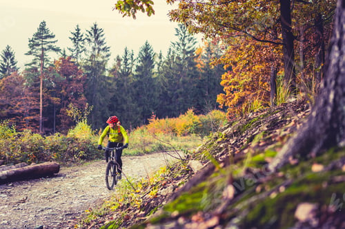 Preview: Mountain biker riding cycling in autumn forest