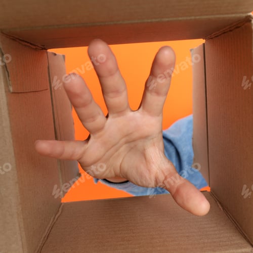 Preview: Concept of delivery, surprise, gift, female hand and cardboard box on orange background