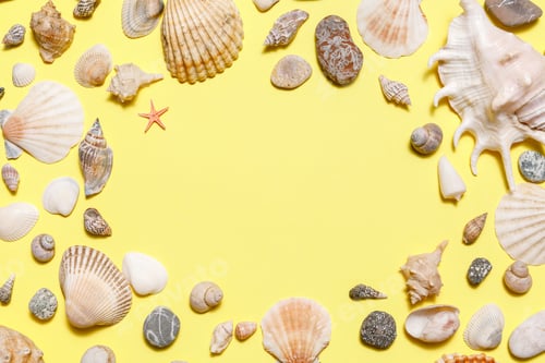 Preview: Seashells, starfish, sea stone frame on yellow background. Minimal simple summer time concept