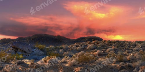 Preview: Californian desert - Anza-Borrego