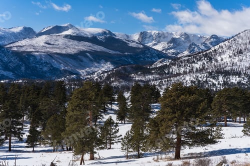 Vorschau: Scenery of a snowy mountain with growing trees on a sunny day