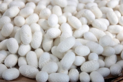 Preview: Silkworm cocoons in bamboo basket