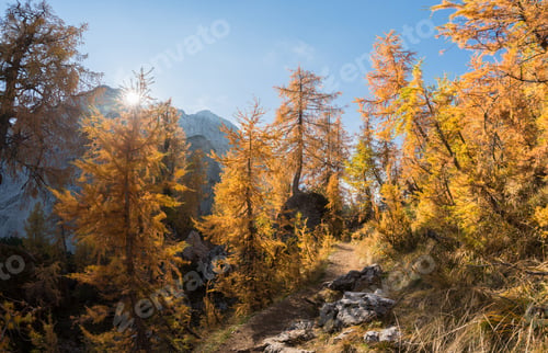 Preview: Autumn at Slemenova Spica in the Julian Alps mountains