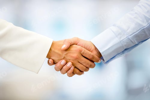 Preview: handshake, successful, congratulating, shaking