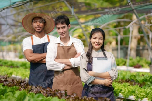 Preview: Group of smiling Asian farmers with arms crossed and looking at camera