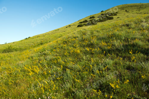 Preview: View of the green mountain and blue sky