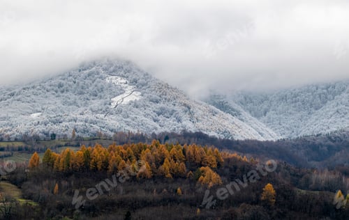 Preview: Winter landscape with fall foliage and mountains under the snow covered by fog