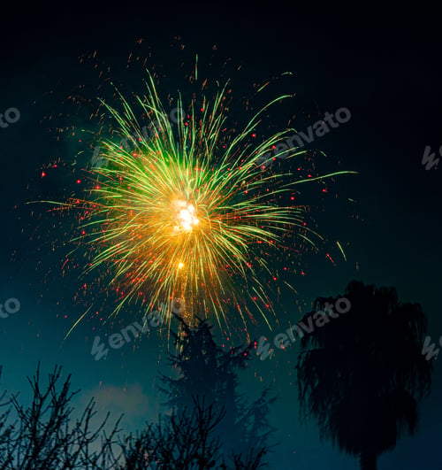 Preview: Vertical shot of green gold fireworks in a foggy night sky. Italy