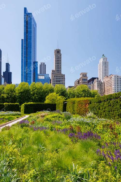 Preview: Sunny view of downtown Chicago with iconic skyscrapers rising above a lush green park
