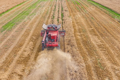 Preview: Wheat field and combine harvester