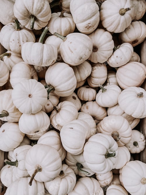 Preview: Pumpkins