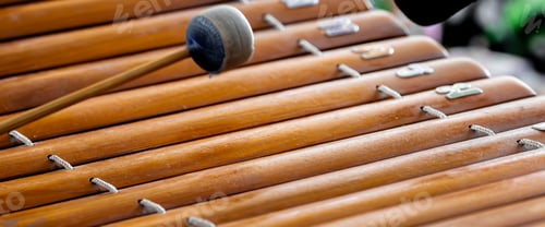 Vista previa: Traditional Thai Wooden Xylophone with Mallet. Close-up of wooden xylophone.