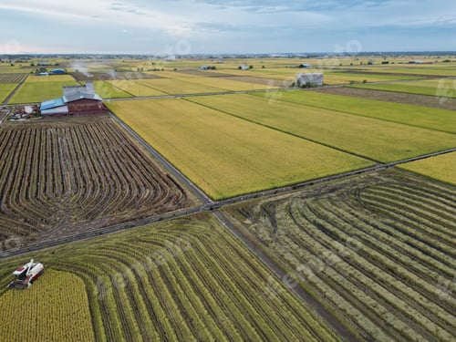 Preview: Aerial view of a tractor harvesting crops at large agricultural fields