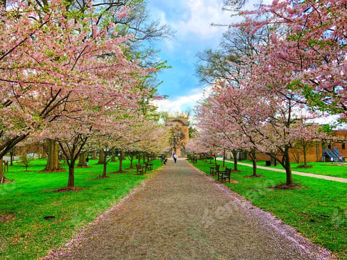 Preview: Springtime