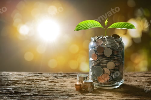 Preview: Coins in Jar with Sprout on Wooden Table