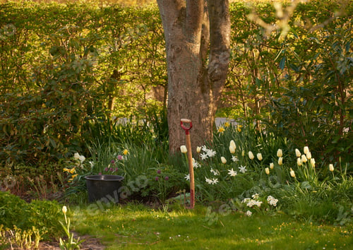 Preview: Summer garden