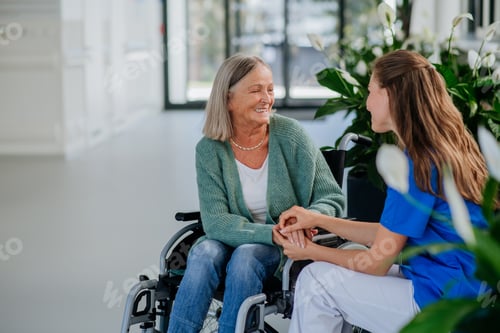 Preview: Young woman doctor taking care of senior woman at wheelchair.