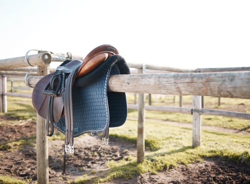 Preview: I sit astride life like a bad rider on a horse. Shot of a saddle on a pole outside.
