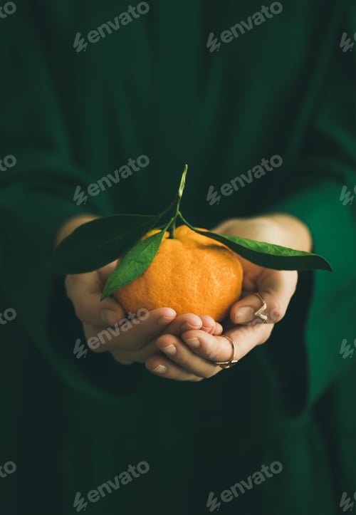 Preview: Fresh raw tangerine fruit in hands of lady, copy space
