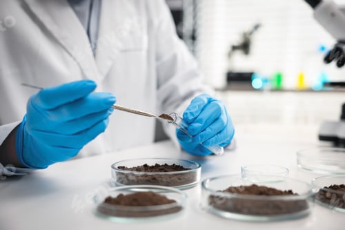 Preview: Scientist taking soil sample for research at white table in laboratory, closeup