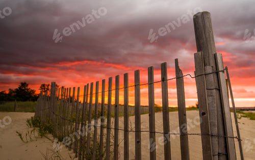 Preview: Dune fences don't admire the sunset, they just stand there and do their job.