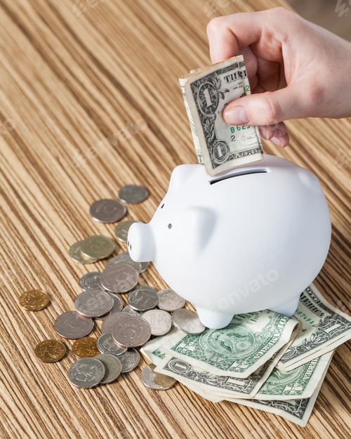 Preview: White piggy bank and US dollars