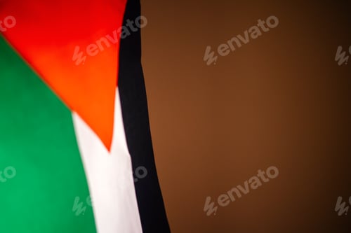 Preview: The flags of Palestine on brown