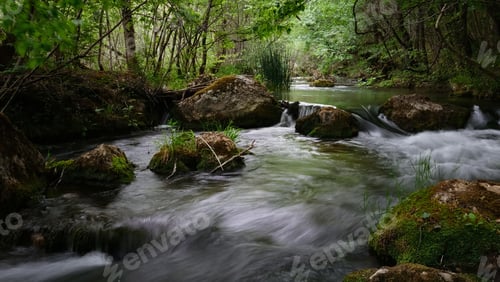 Preview: Full-flowing river in a green sunny forest.