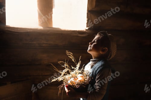 Preview: Farm life. The boy feeds the chickens and collects the eggs. Beautiful light in the coop.